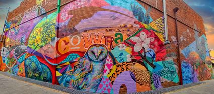 Cowra Public Street Art Mural